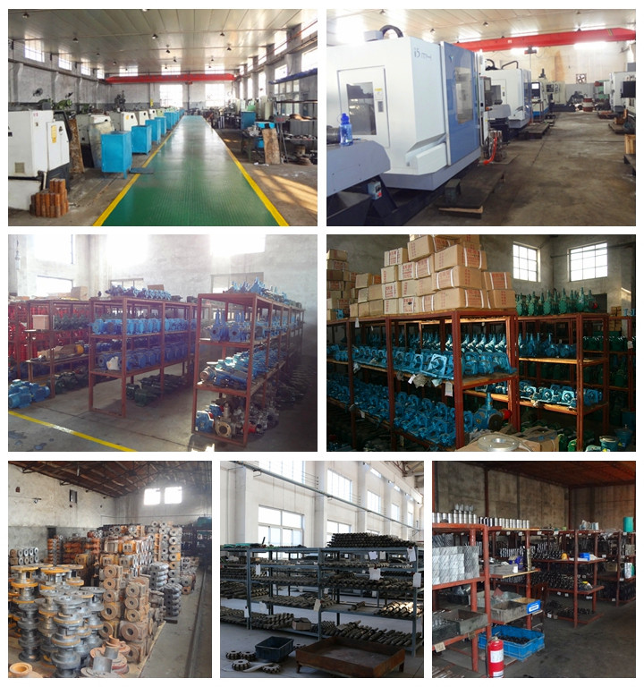 遠東泵業(yè)廠房形象 遠東泵業(yè)廠房形象