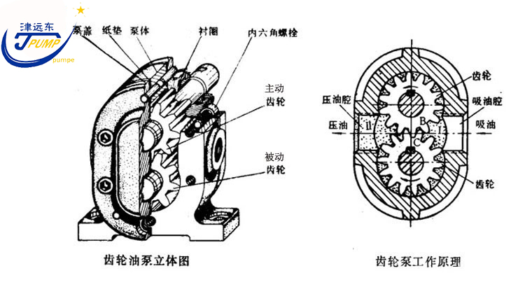 2CG硬齒面渣油泵剖析圖 2CG硬齒面渣油泵剖析圖