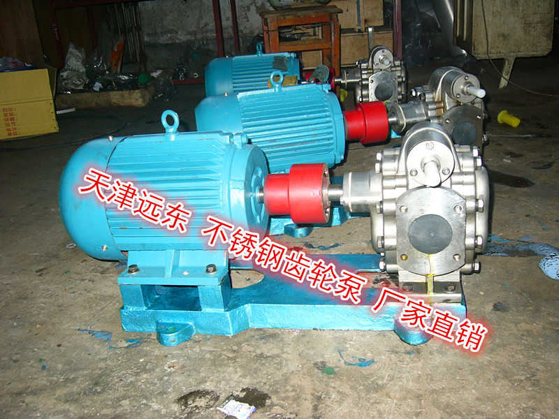 不銹鋼齒輪泵 不銹鋼齒輪泵