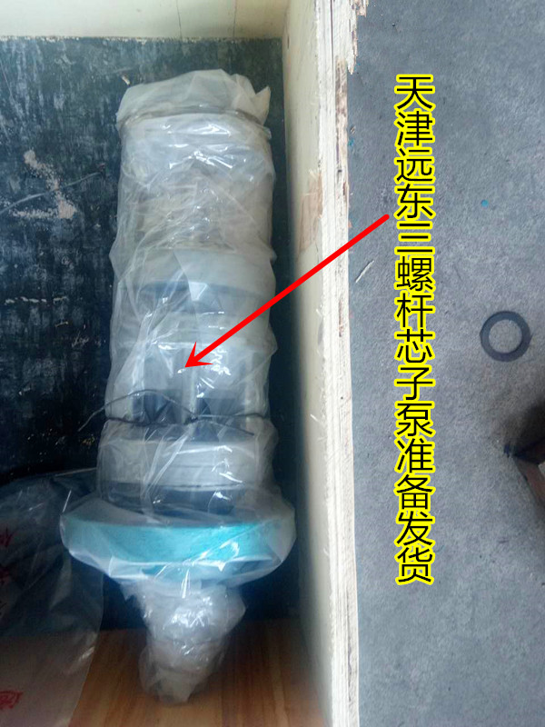 三螺桿芯子泵 三螺桿芯子泵